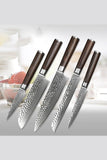 B1Z 5 Pcs Knife Set, 67 Layers Damascus Steel Having Nature Ebony Wood Handle
