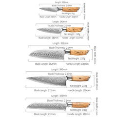 Blaze Series 5pcs Damascus Steel Knife Set With Olive Wood Handle
