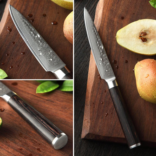 B1Z 5 inch 67 Layers Damascus steel Utility Knife for Cutting Tomatoes, Potatoes, Apples, Citrus Fruits and Cucumbers Having Nature ebony Wood Handle