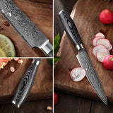 B20 2pcs Damascus Knife Set, 1 Pc 8 Inch Chef Knife, 1 Pc 5 Inch Utility Knife Having Pakka Wood Handle