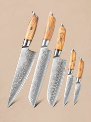 Blaze Series 5pcs Damascus Steel Knife Set With Olive Wood Handle