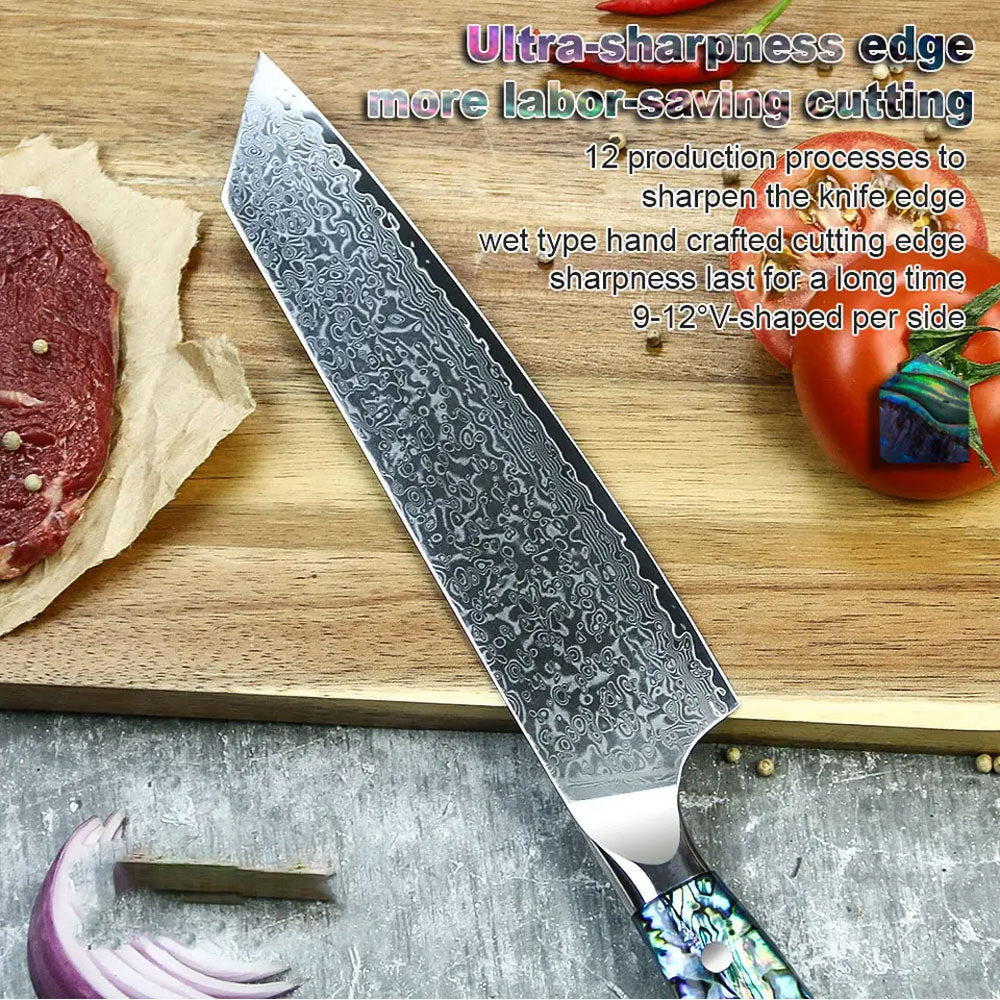 Professional Damascus Vg 10 Steel Core 67 Layers Stainless Steel Abalone Handle