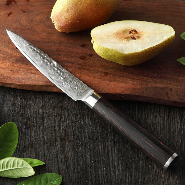 B1Z 5 inch 67 Layers Damascus steel Utility Knife for Cutting Tomatoes, Potatoes, Apples, Citrus Fruits and Cucumbers Having Nature ebony Wood Handle