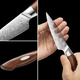 Bold Dynasty Series 3.5 Inch Damascus Steel Paring Knife