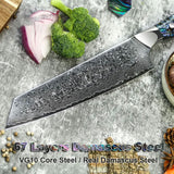 Professional Damascus Vg 10 Steel Core 67 Layers Stainless Steel Abalone Handle