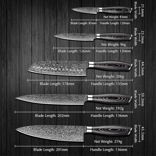 B20 5pcs Knife Set, 67 layers Damascus Steel Having Pakka Wood Handle