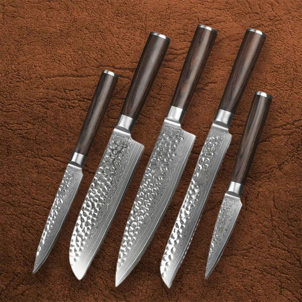 B1Z 5 Pcs Knife Set, 67 Layers Damascus Steel Having Nature Ebony Wood Handle