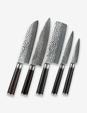 B1Z 5 Pcs Knife Set, 67 Layers Damascus steel Having Nature eBony Wood Handle