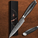 B20 5 Inch Utility Knife, 67 Layers Damascus Steel Having Pakka Wood Handle
