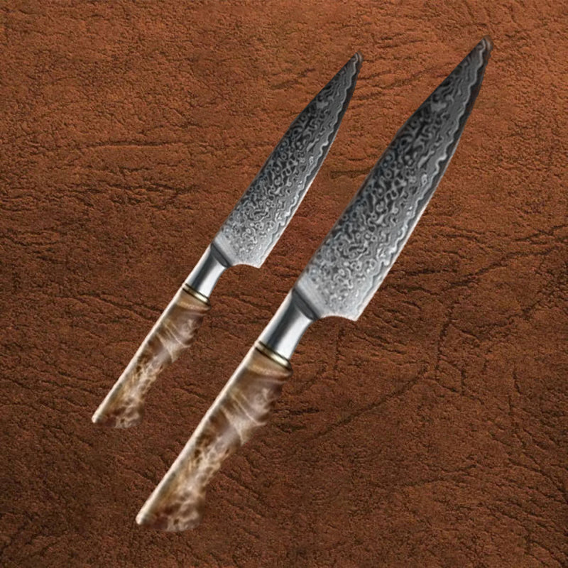 B30 2pcs Damascus Knife Set, 1 Pc 8 Inch Chef Knife, 1 Pc 5 Inch Utility Knife Having Figured Sycamore Wood Handle