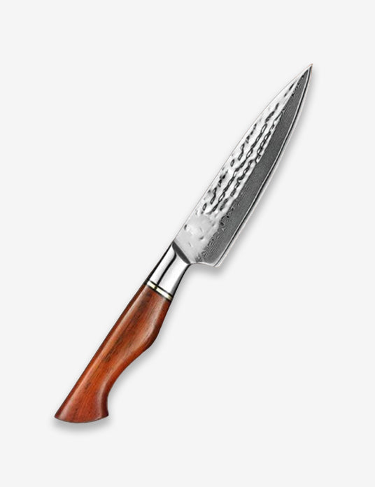 B30R 5 Inch Utility Knife, 73 Layers Damascus Steel With Powder Steel Having Nature Rosewood Handle