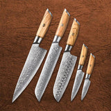 B37S 5pcs Damascus Knife Set, 3 Layers Composite Steel Having Pakka Wood Handle