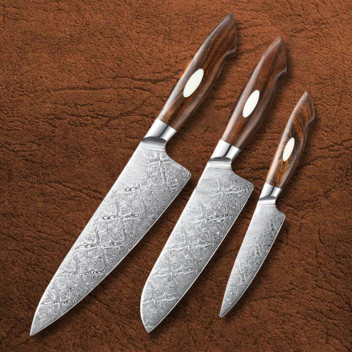 B46D 3pcs Knife Set, 110 Layers Damascus Steel Having North America Desert Ironwood