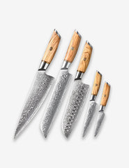 Blaze Series 5pcs Damascus Steel Knife Set With Olive Wood Handle