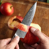 B30 5 Inch Utility Knife, 67 Layers Damascus Steel Having Figured Sycamore Wood Handle