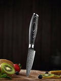 Benchmark Series 3.5 Inch Damascus Steel Paring Knife