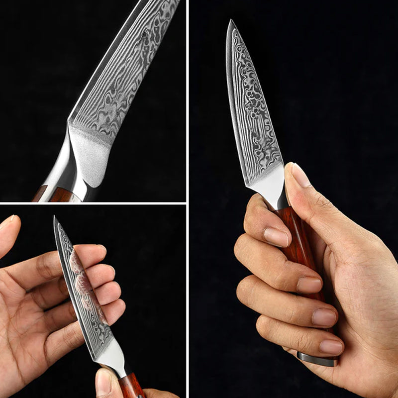 Bold Radiance Series 3.5 inch Damascus steel Paring Knife