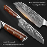 B46D 7 Inch Santoku Knife, 110 Layers Damascus Steel Having North America Desert Ironwood