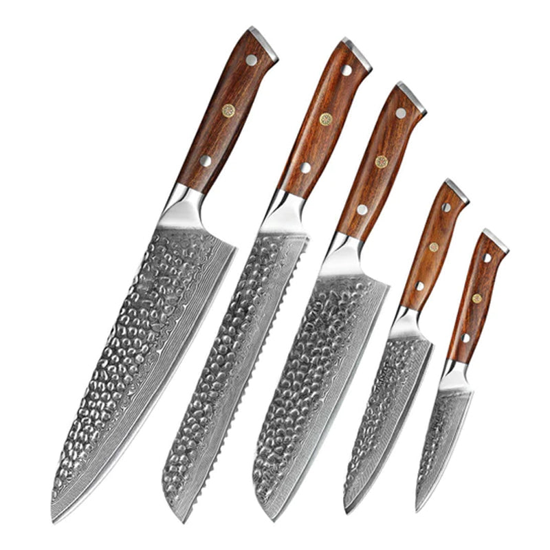 B13D 5pcs Damascu Knife Set, 1 Pc 8 Inch Chef Knife, 1 Pc 5 Inch Utility Knife ,1 Pc 7 Inch Santoku Knife, 1 Pc 8 Inch Bread Knife, 1 Pc 3.5 Inch Paring Knife Having Desert Iron Wood Handle