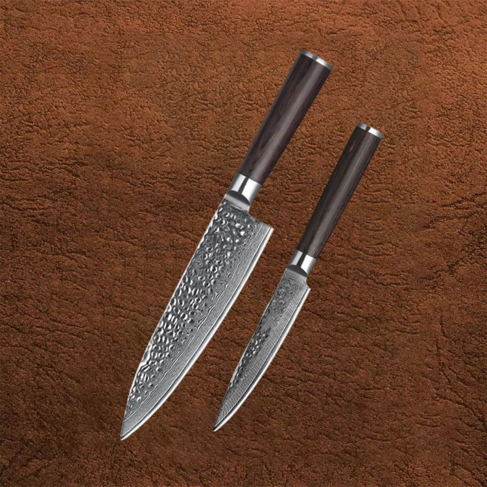 B1H 2 pcs knife set, 1 pc 8 inch chef knife and 1 pc 5 inch utility knife, 67 Layers Damascus steel having Pakka Wood Handle