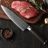 B1H 2 pcs knife set, 1 pc 8 inch chef knife and 1 pc 5 inch utility knife, 67 Layers Damascus steel having Pakka Wood Handle