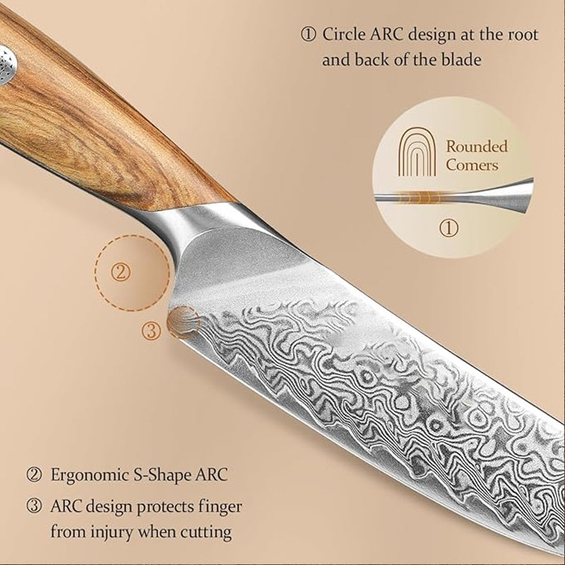 X01 5 Inch Steak Knife, 73 LAYERS Damascus STEEL WITH 14cr14v3monb POWDER STEEL Having Olive Wood Handle