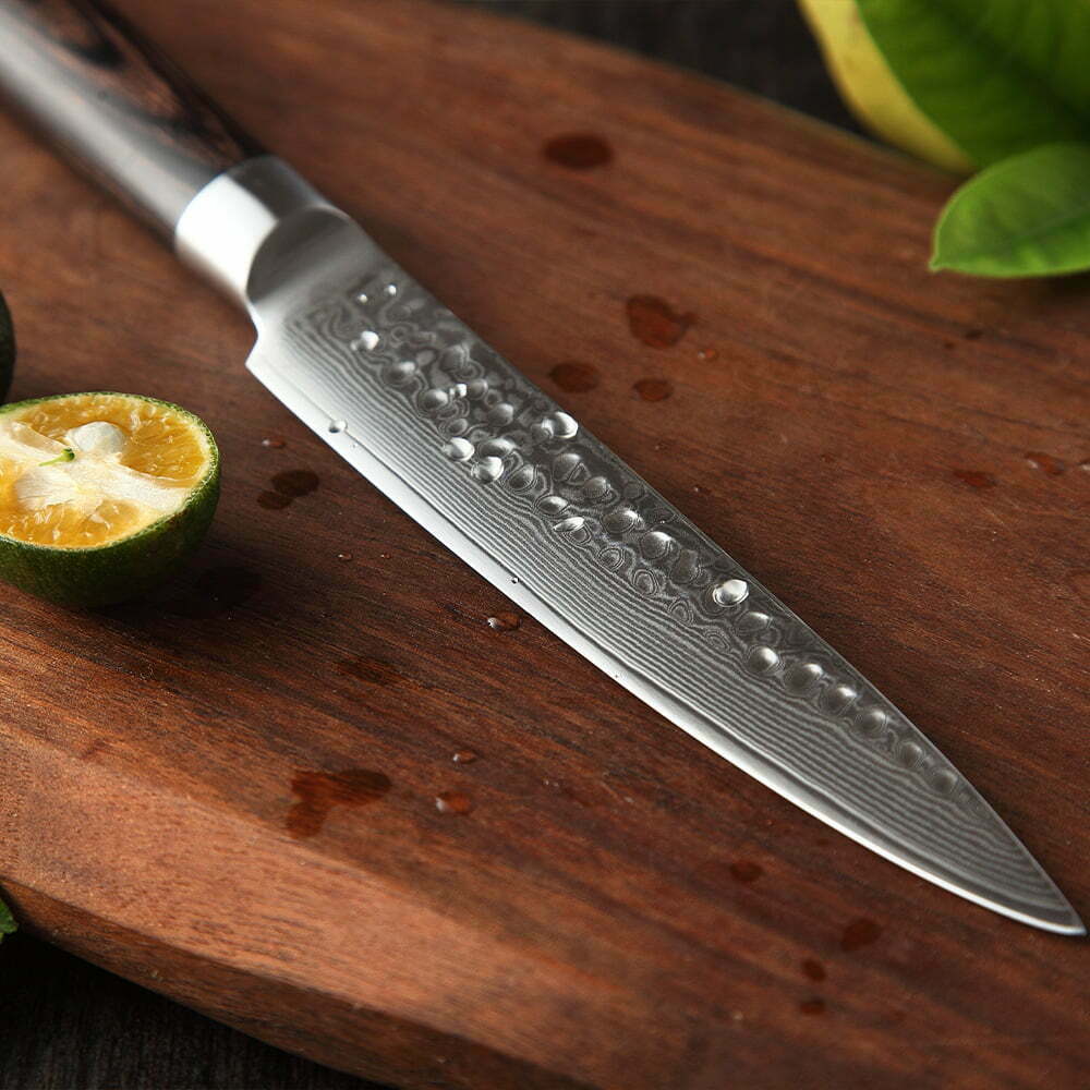Super Sharp 67 layers Damascus Steel Utility Knife with Pakka Wood Handle
